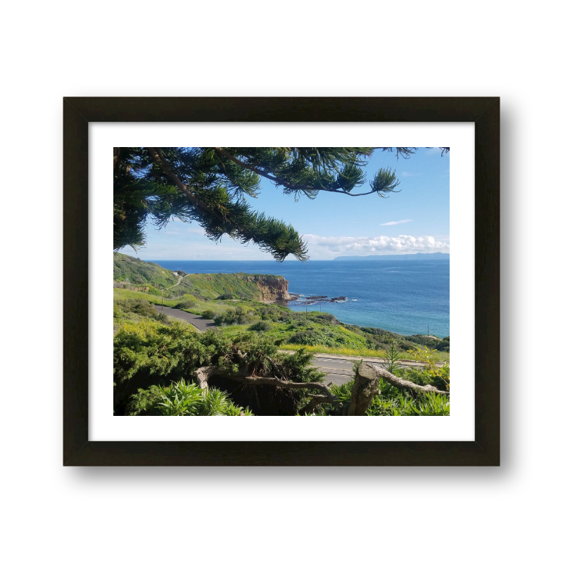 Coast And Catalina