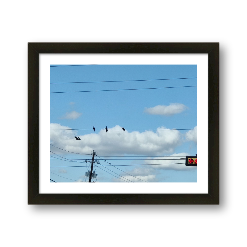Birds On A Wire #1