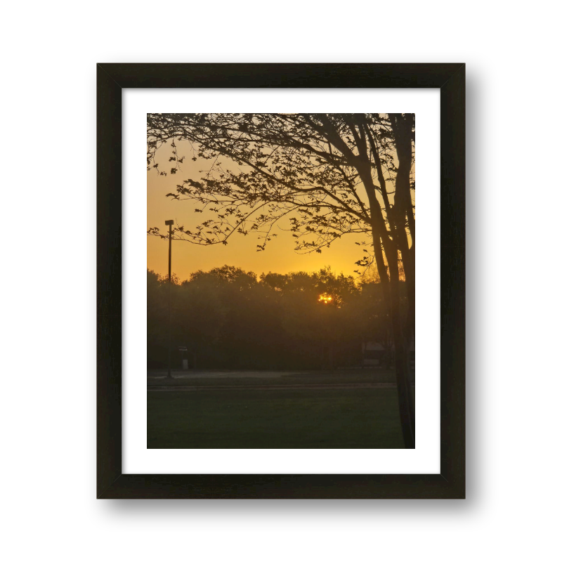 College Parking Lot At Sunrise
