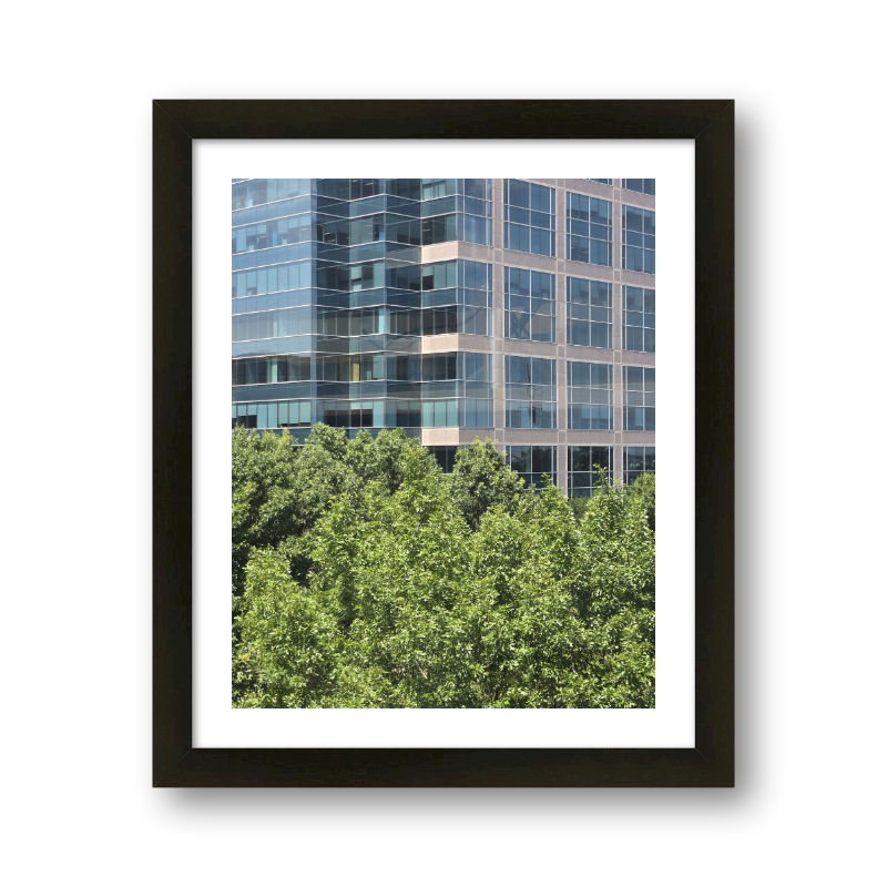 Office In The Trees