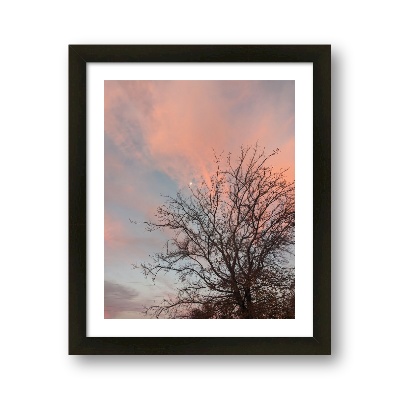 Moon In Pink Clouds At Sunrise With A Tree