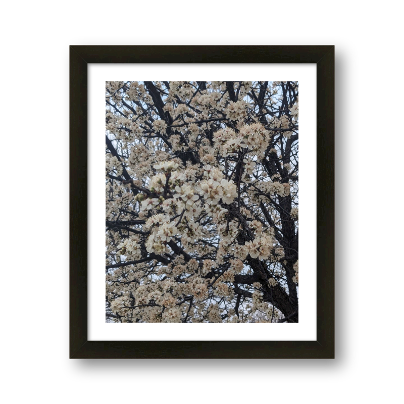 Flower Tree