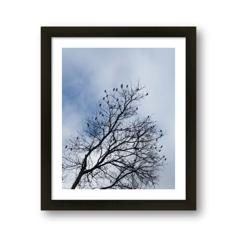 Tree Of Birds