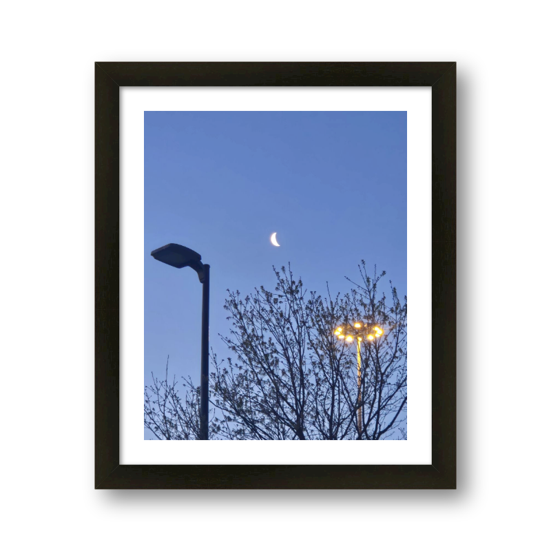 Moon Over A Tree And Lights