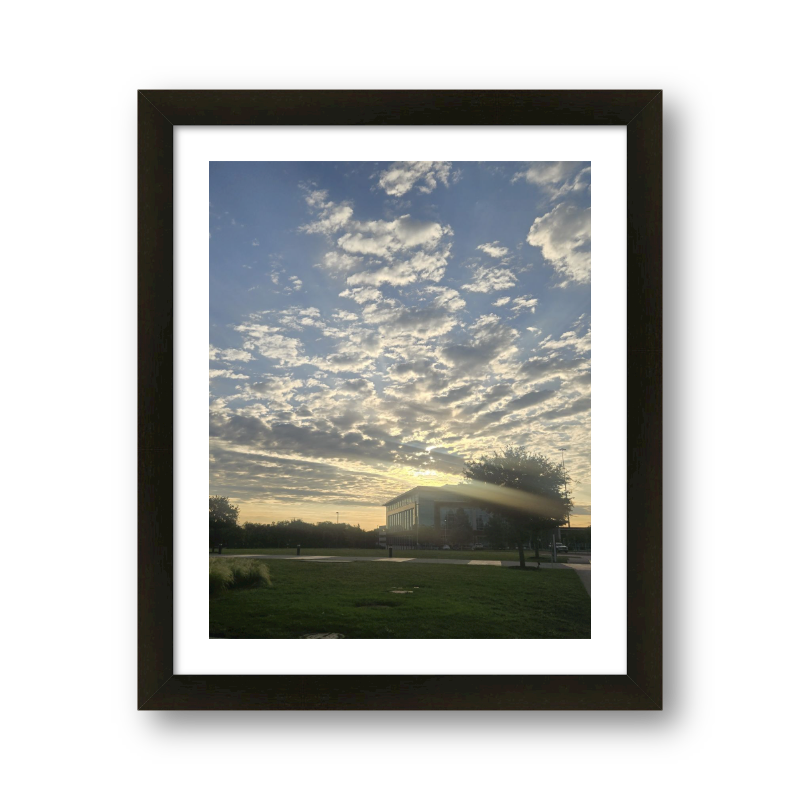 Morning Sun Over The College