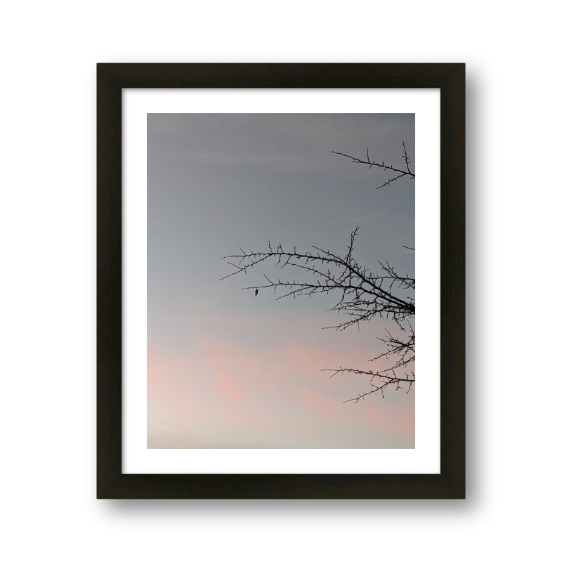The Last Leaf