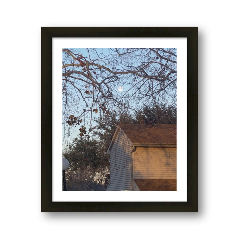 Moon Behind Branches Over A House