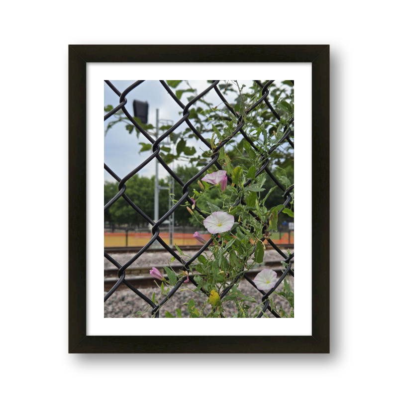 Flowers And Train Tracks