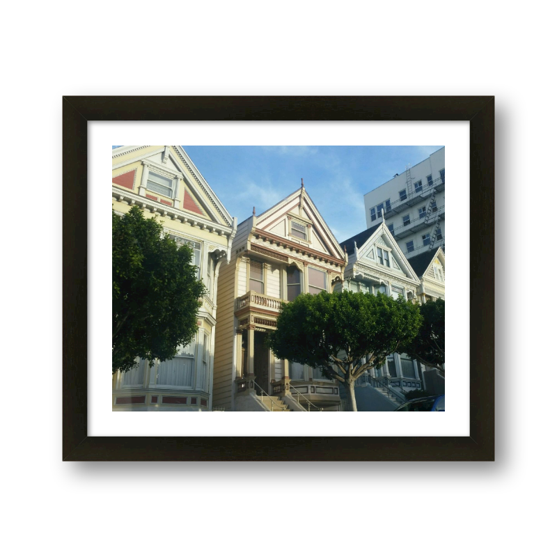 Painted Ladies
