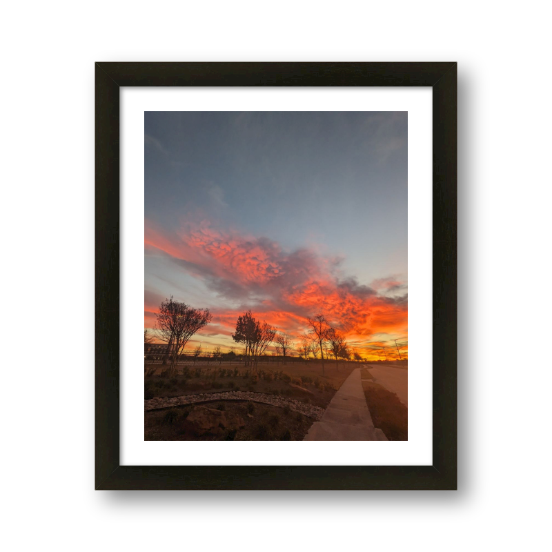 Wild Sunrise #2