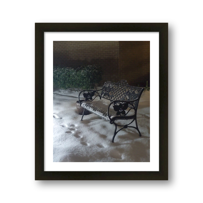 Bench In Snow
